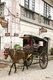 Philippines: Kalesa (horse-drawn carriage) in the Mestizo District, Vigan, Ilocos Sur Province, Luzon Island